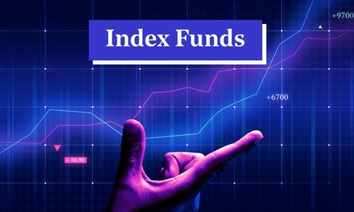 Index Funds Advantages and Disadvantages for New Investors