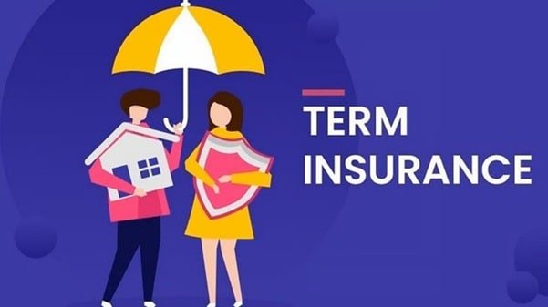 Best Term Insurance Plan Comparison: Public vs. Private Insurers