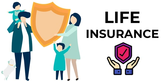 Women and Men in Life Insurance: What’s the Real Difference?
